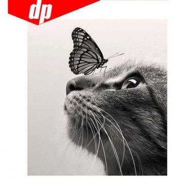 Broderie 5D Animaux Chats et Papillons