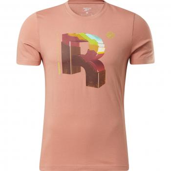 Camiseta Reebok Rosa Manga Corta Big R M Hombre