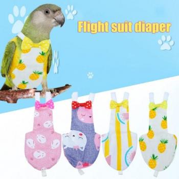 Pigeon Flight Suit for Medium and Large Birds