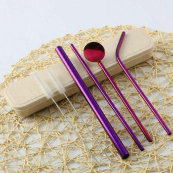 Pailles 304 en acier – Kit 7 pièces (fine/épaisse), cuillère & brosse, couleur maison