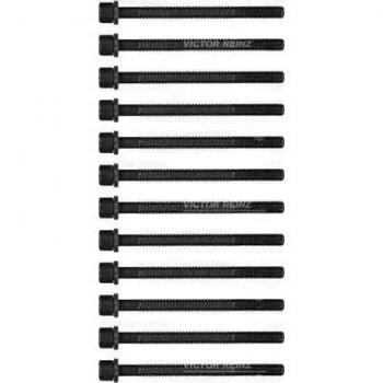 Victor Reinz Gasket Bolt Kit 143204901