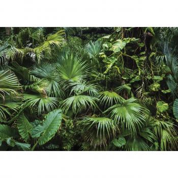 Mural Vert Jungle Intissé, Papier de Décoration 416×254
