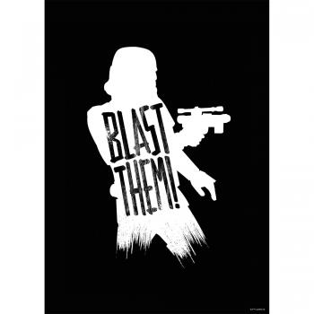 Poster Décoratif Star Wars Silhouette 50x70cm