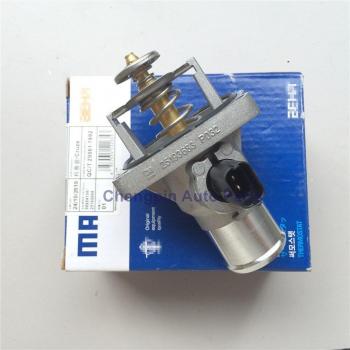 Thermostat Assembly for Chevrolet Astra