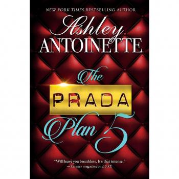 The Prada Plan 5, by Ashley Antoinette