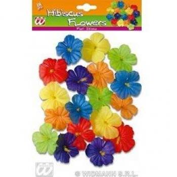 Widmann WDM2379H Kostüm für Kinder, mehrfarbig