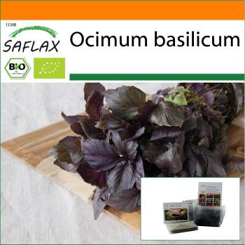 Biologico Basilico Rosso 400 Semi con Substrato Stand‑Up
