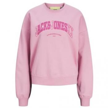 Jack & Jones Ava Lunar Hoodie – Mauve, XS Women