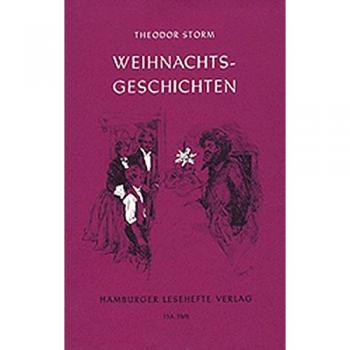 Theodor Storm Weihnachtsgeschichten. (Lernmaterialien)
