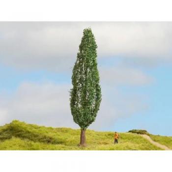 NOCH Modelleisenbahn-Baum NOCH 20130 Baum Pappel 180 mm 1 St