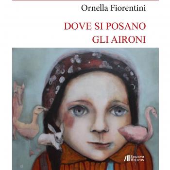 Dove si posano gli aironi