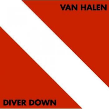 Pochette de sécurité Diver Down