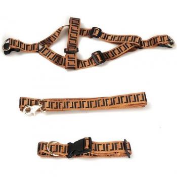 Arnés y Collar para Perros Medianos