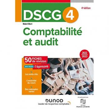 Comptabilité Et Audit Dscg 4