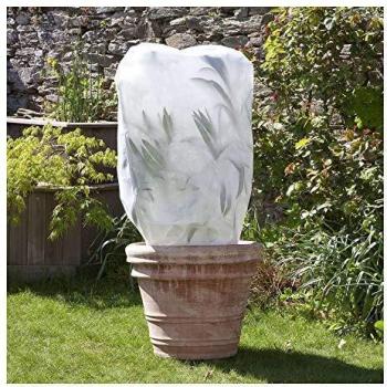 Copertura Piante Giardino Invernale 63x1.60mt 50gr Nortene