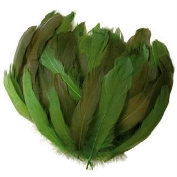 Plumas Multicolores de Ganso Verde 20 g – Asort