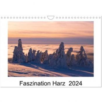 Faszination Harz 2024 (Wandkalender 2024 DIN A4 quer) CALVENDO Monatskalender