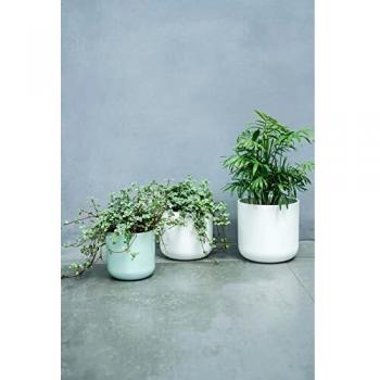 Ivyline Ceramic Lisbon Planter