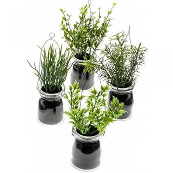 Set de 12 hierbas en tarro de cristal (mini) 14 cm