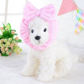 Chal de Estilo Canino