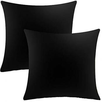 PlushDream Velvet Cushion Pair