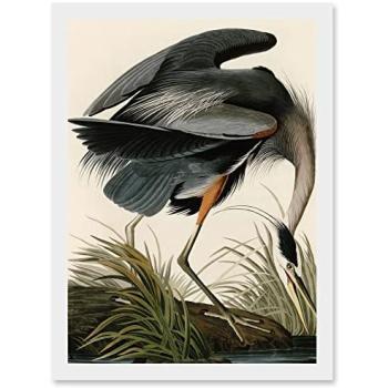 Heron Horizon: Audubon Nature Portrait A4