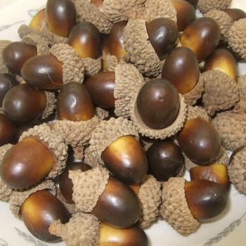 10 Pieces of Decorative Foam Acorns