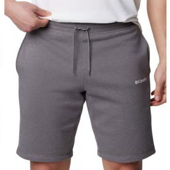 Columbia Logo Fleece Shorts Herren grau
