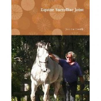 Equine Sacrolliac Joint