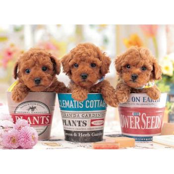 Feelings of a Puppy – 600‑Piece Jigsaw by Beverly