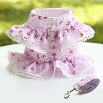 Cadena Chic Canina Pequeña