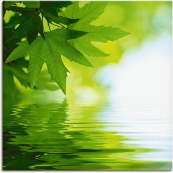 Artland Wandbild »Naturreflexion: Grüne Blätter«