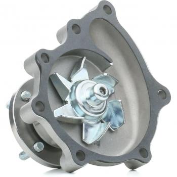 RIDEX Vattenpump 1260W0250 för GRAND CARNIVAL III