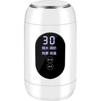 Mini Bouilloire Santé
