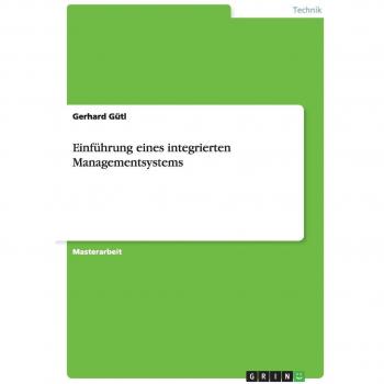 Einführung eines integrierten Managementsystems: Magisterarbeit