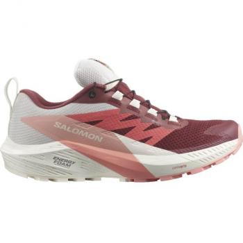 Salomon Sense Ride 5 GTX