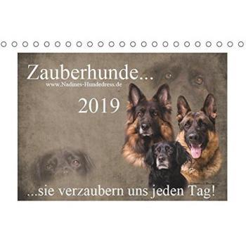 Zauberhunde... sie verzaubern uns jeden Tag!