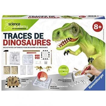 Explorateur de Fossiles Midi