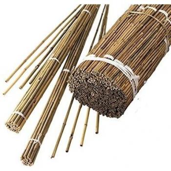 Gardman Pre-Bulk Bamboo Canes (60cm)