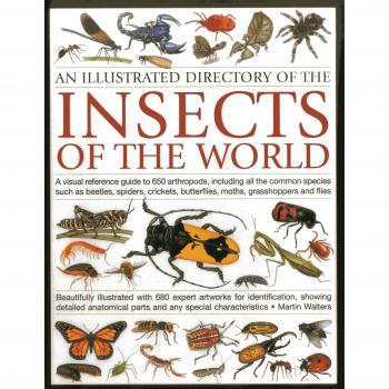 Illustrated Directory of Insects of the World: A Visual Reference Guide to 650 A