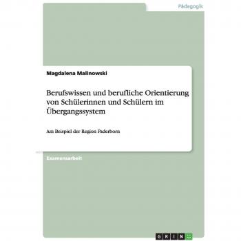 Berufswissen und berufliche Orientierung von Schülerinnen und Schülern im Übergangssystem: Am Beispiel der Region Paderborn