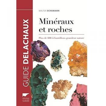 Minéraux et roches. Plus de 600 échantillons grandeur nature