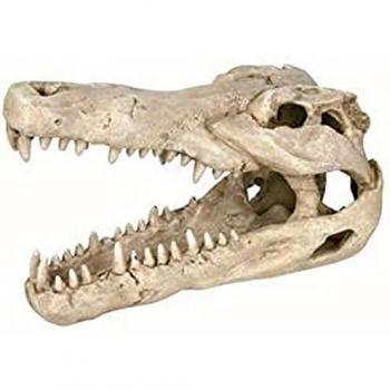 Cráneo de Cocodrilo para Perros Trixie 14 cm