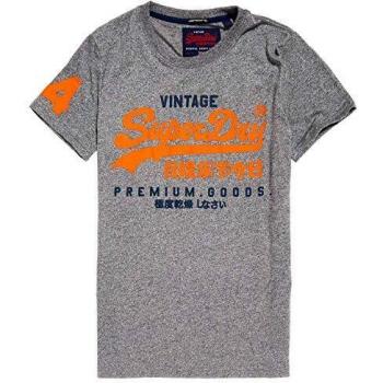 Superdry Premium Goods Duo Lite Tee, T-Shirt Uomo, Grigio