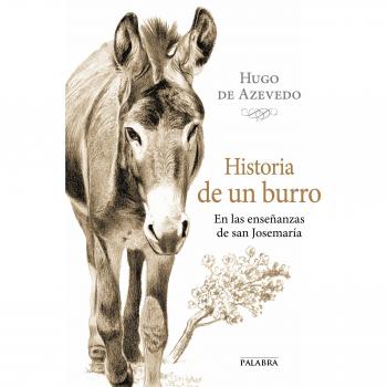 Historia De Un Burro En Las Enseñanzas De San Josemaria