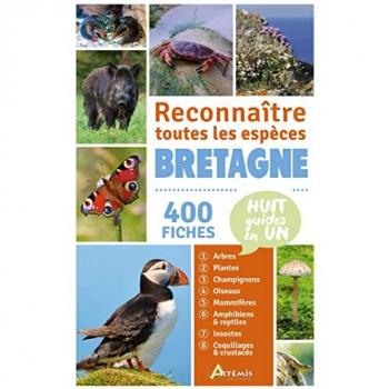 Losange Bretagne, Reconnaître Toutes Les Espèces