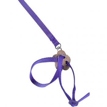 FlyingFriend Parrot Harness