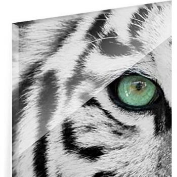 Cuadro Panorama Tigre en Cristal