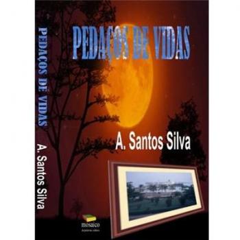 Pedaços De Vidas