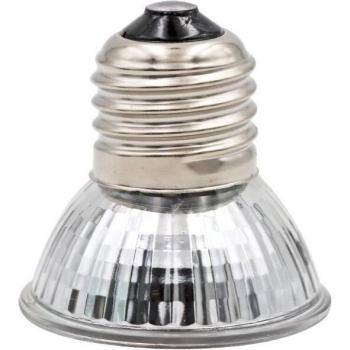 Amphibian Temperature Control Light